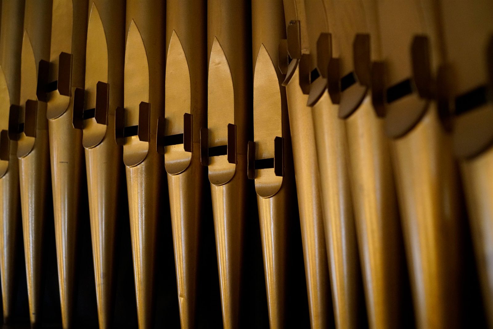 A Closer Look: Blessed Trinity Church